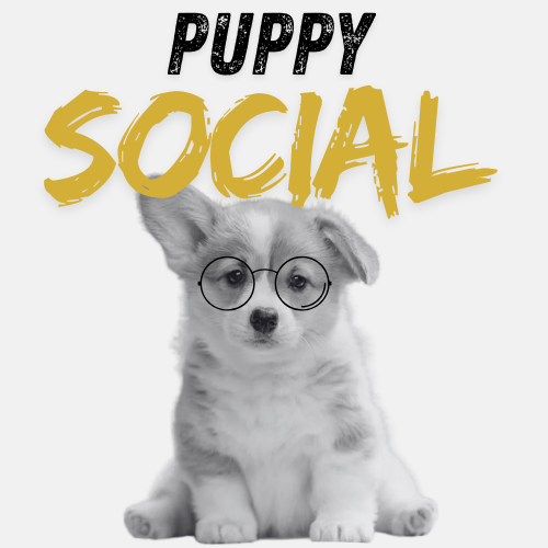 Puppy Social